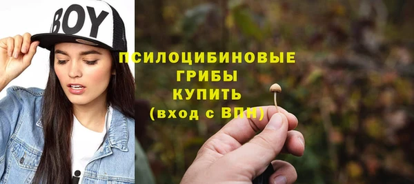 стаф Баксан