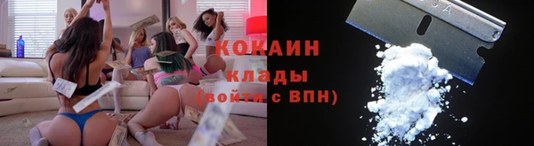 стаф Баксан