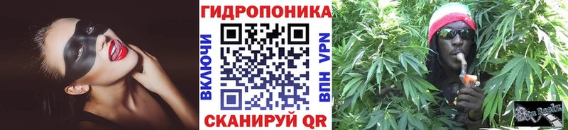 где купить   Верхний Тагил  МАРИХУАНА семена 